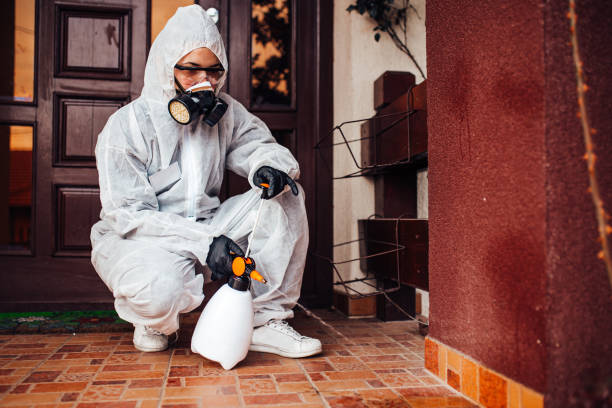Reliable Cockroach Control contractor in Akron, IN by Nex Pest Control